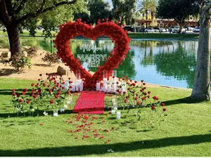 Proposal Decorations at Negotiable Price