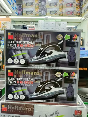 Hm-9029 Electric Steam Iron.