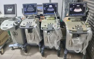 Loqic C-5 Ultrasound Scan