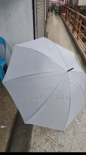 Umbrella /White Umbrella