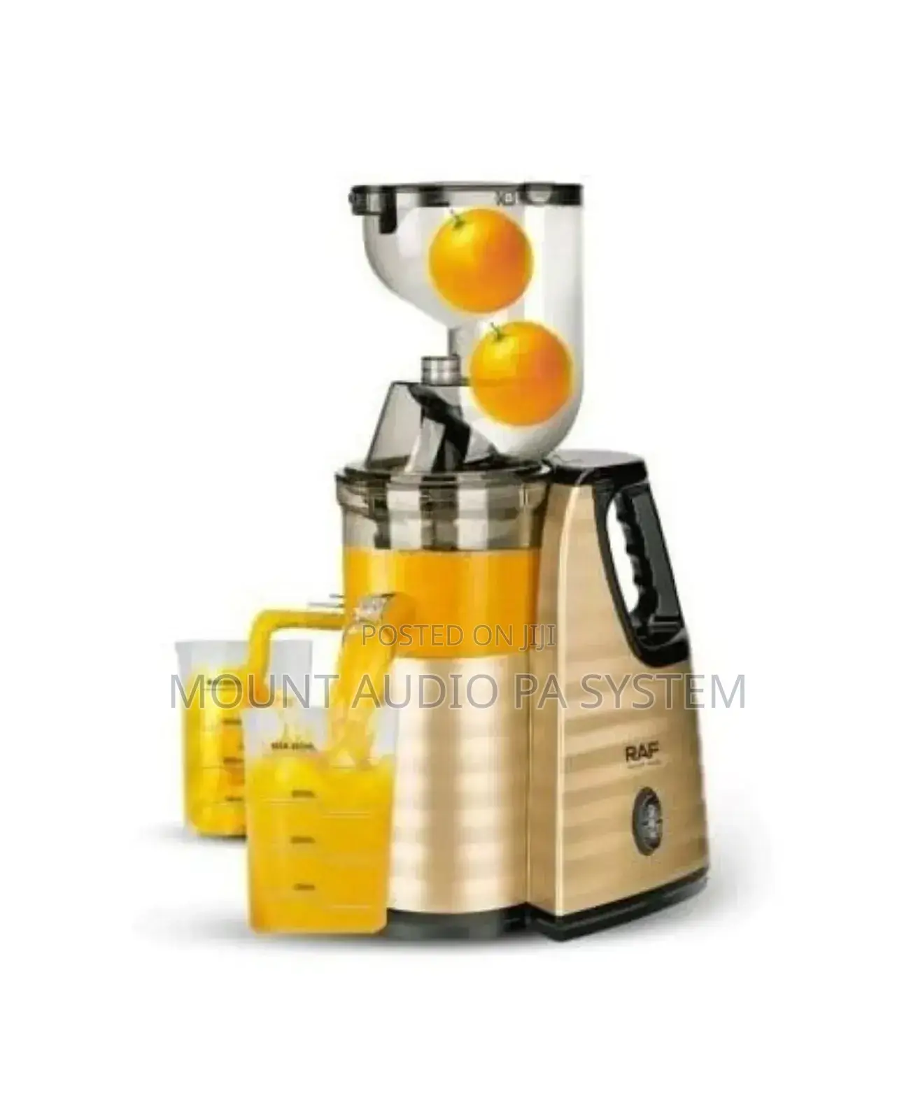 Raf Slow Juicer
