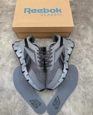 Original Grey Reebok Zig Dynamica 2.0 Men’S Running Sneakers