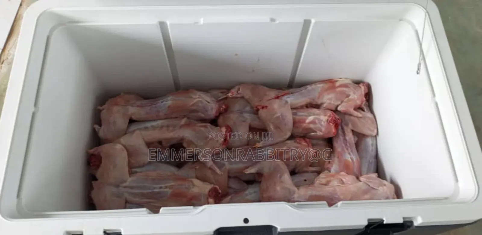 Rabbits Meat