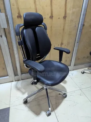 Adjustable, Recliner Orthopedic Chair
