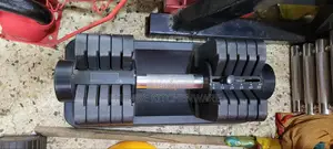 Adjustable Dumbbells 55kg