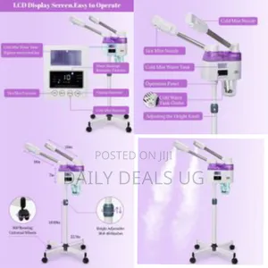2 in 1 Hot and Cold Two Spray Heads Facial Vaporizer Face Steamer