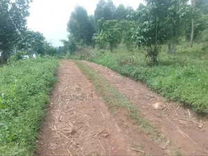 1 Acre of Land in Kigenda Nkokonjeru