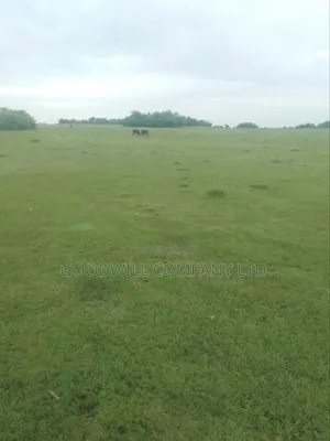 7 Acres Lugasa Nkokonjeru Along Nyenga Jinja Express Highway