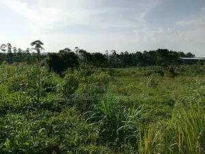 Mityana–Mubende Road: 10 Acres of Land for Sale in Kasanda