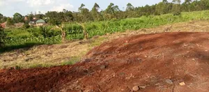 30 Decimals Commercial Land for Sale in Ssemuto