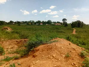 32 Acres of Land in Namanve Bweyogerere for Sale