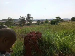 3 Acres of Land in Namanve Good for Many Projects Near Kampala