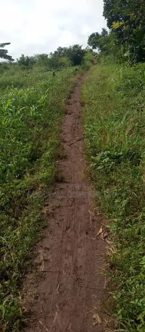 10 Acres of Land in Kiwanura Kikyusa Zirobwe Road