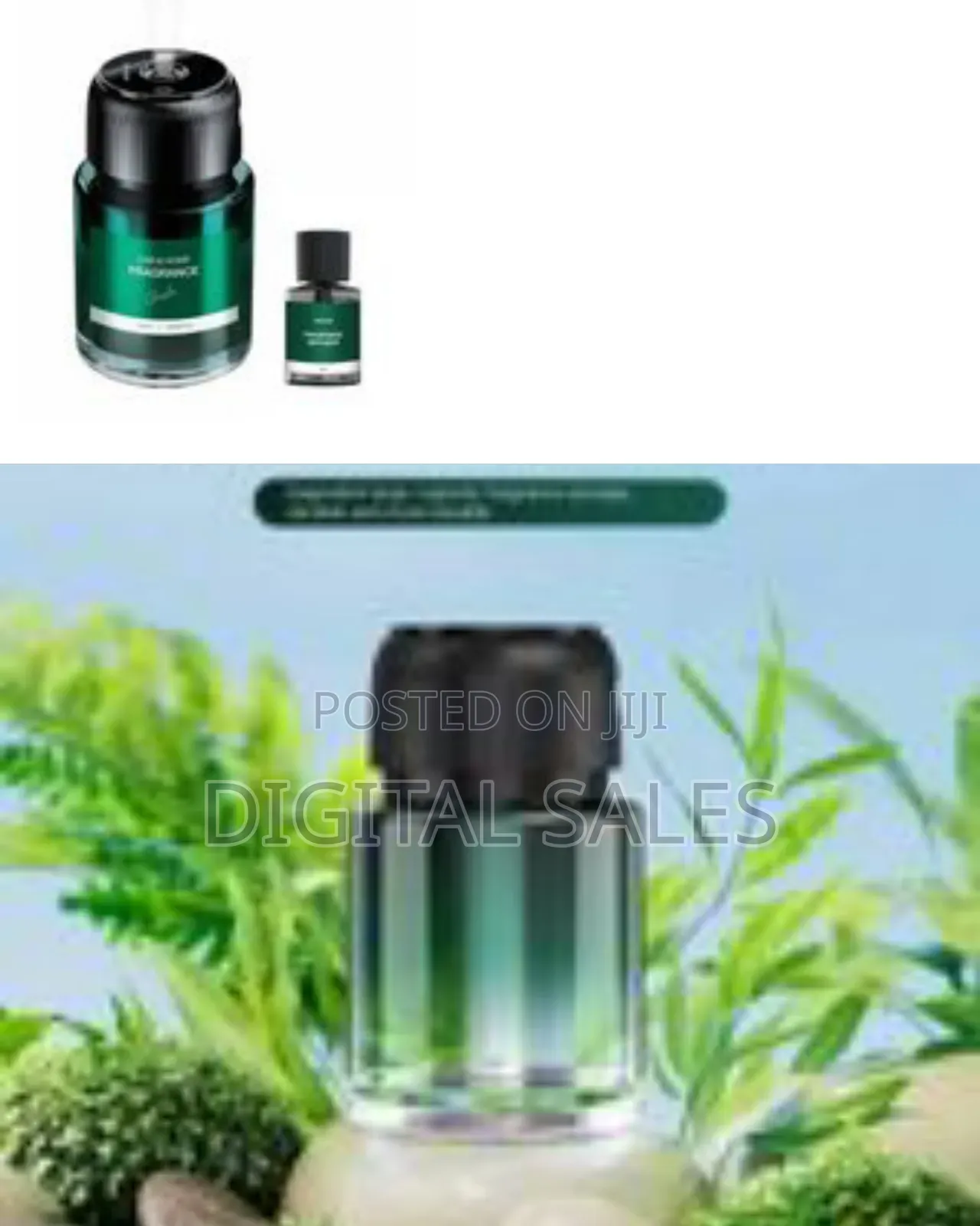 Green Lion Car Fragrance Perfume Air Diffuser Humidifier Aromatherapy