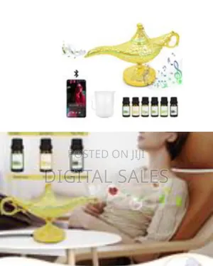 4 in 1 Decorative Aromatherapy Oil Diffuser, Aladdin Diffuser