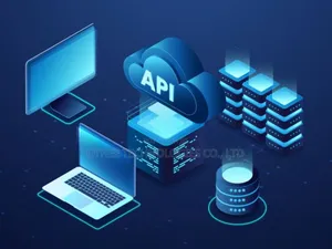 Api Integrations and SDK Development