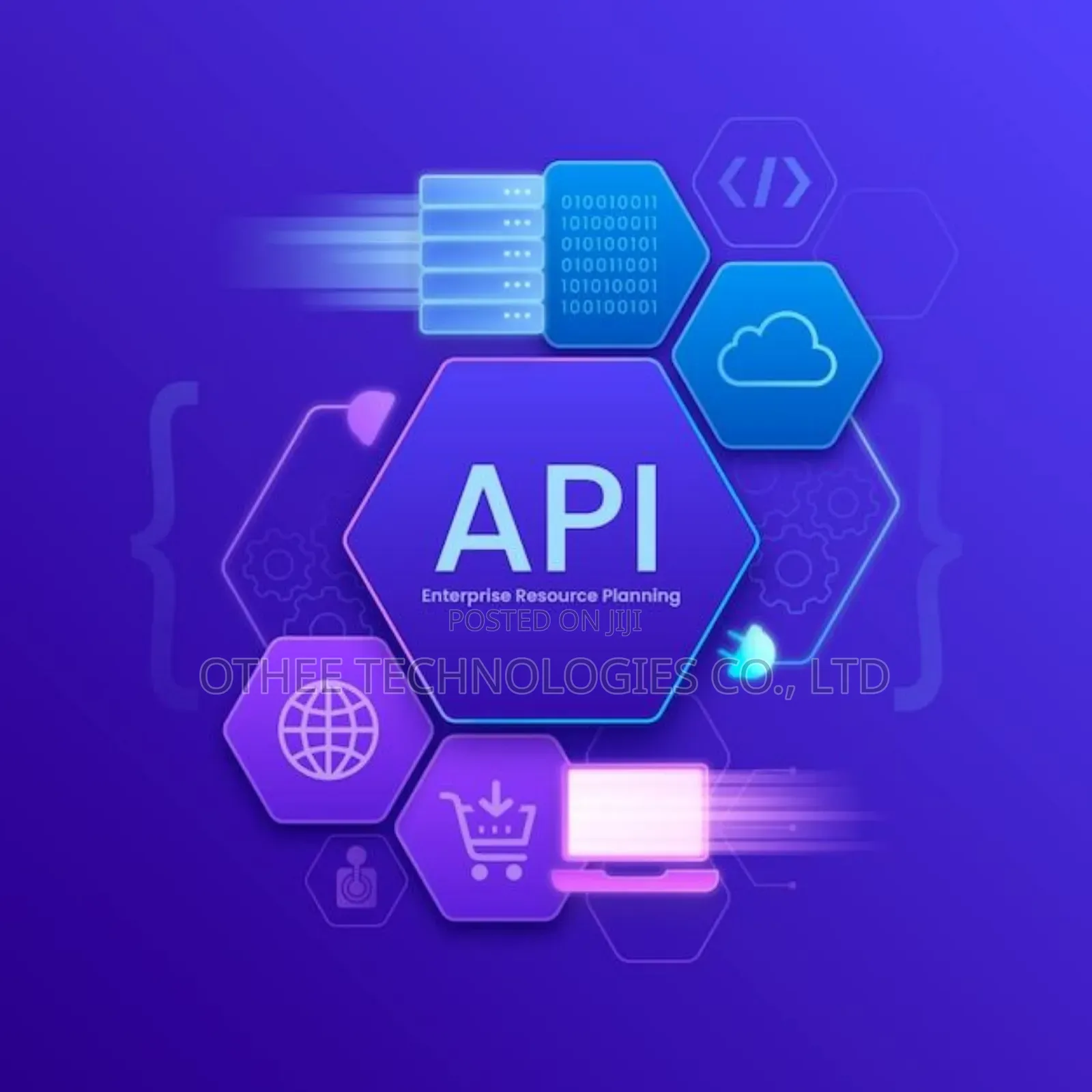 Api Integrations and SDK Development