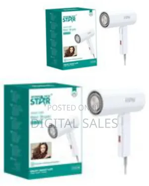 Winning Star Low Noise Compact Mini One Step Salon Professional