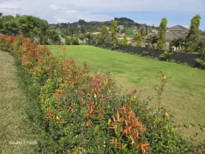 1 Acres of Fenced Land in Lubowa Entebbe Road