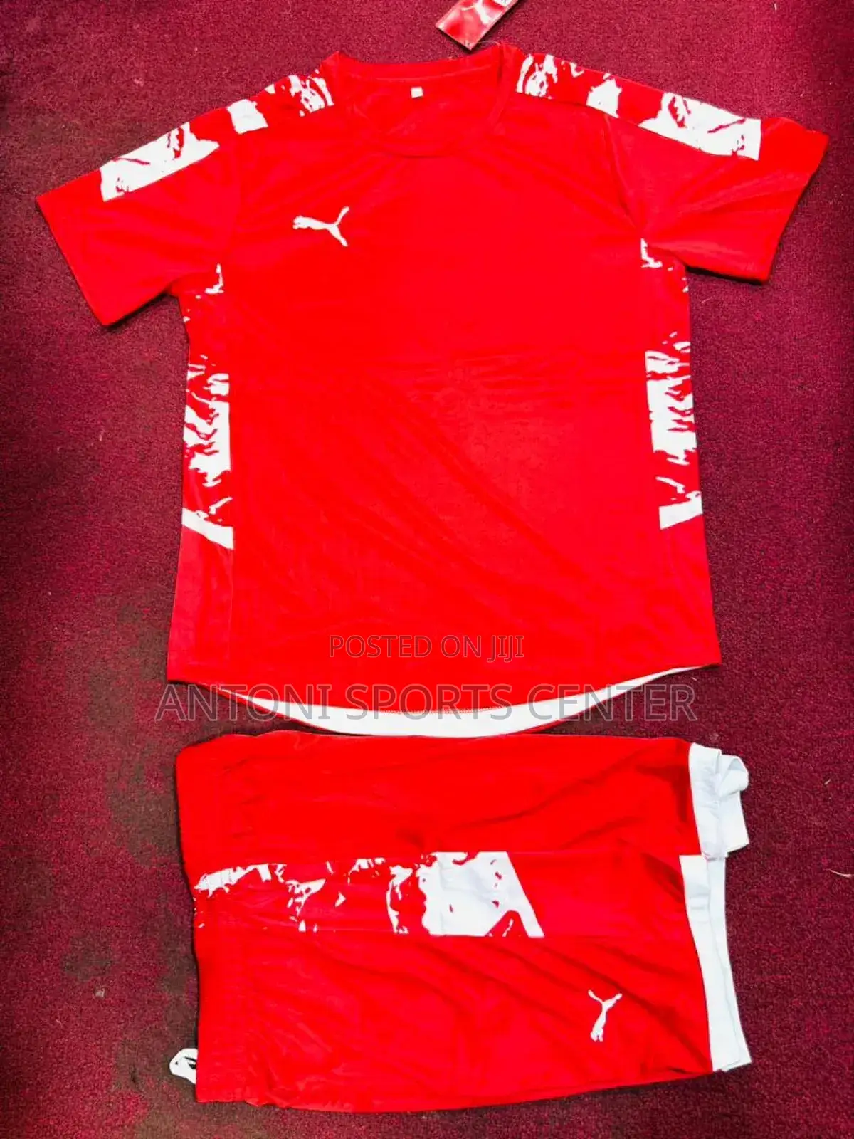 Red Puma Plain