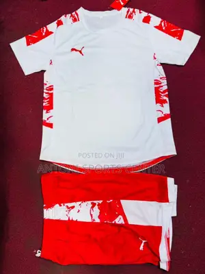 Red Puma Plain
