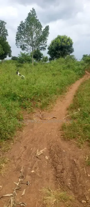 250 Acres of Land for Sale in Kabubu Nakaseke Private Mairo Land Title