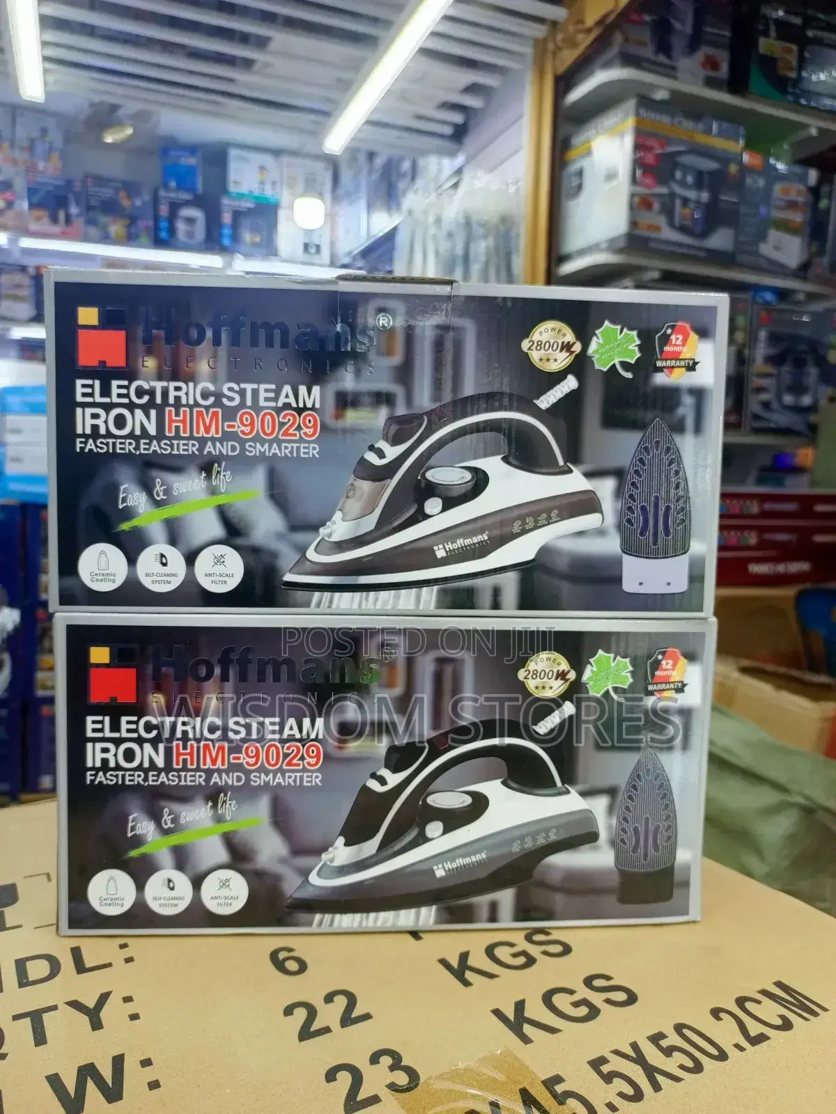 Electric Steam Iron.