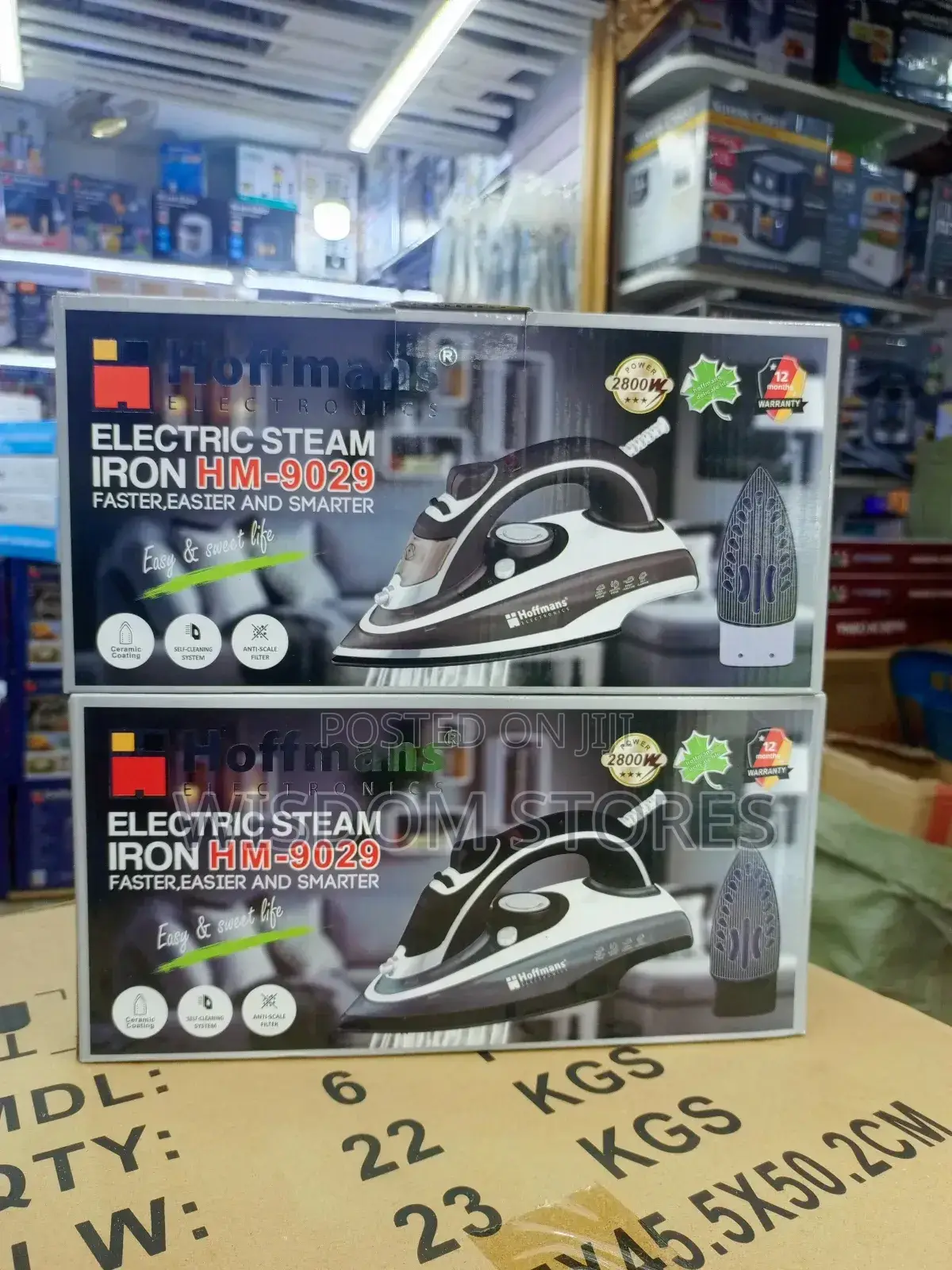 Electric Steam Iron.