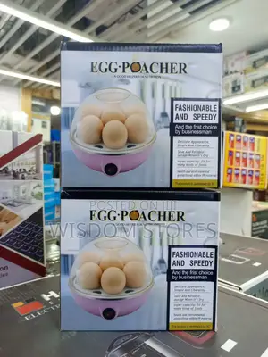 Mini Electric Egg Boiler