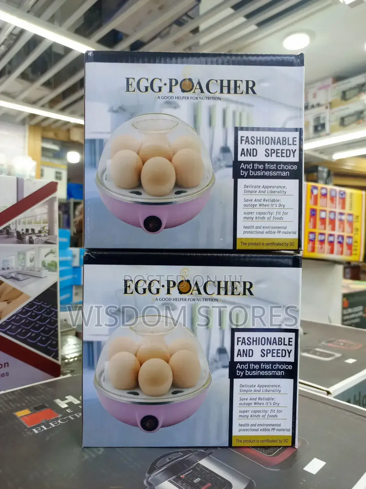 Mini Electric Egg Boiler
