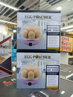 Mini Electric Egg Boiler