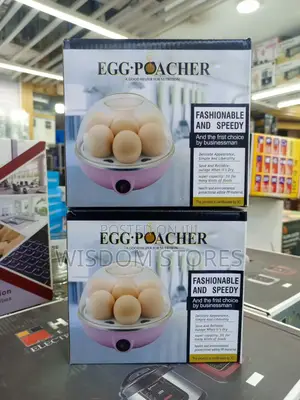 Mini Electric Egg Boiler