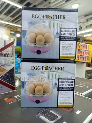 Mini Electric Egg Boiler