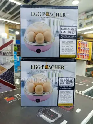 Mini Electric Egg Boiler