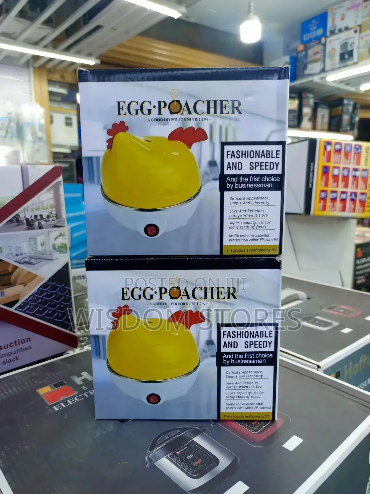Mini Electric Egg Boiler