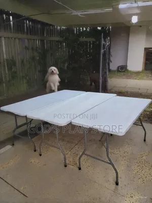 Fragile Foldable Table Fragile Foldable Table 150cm