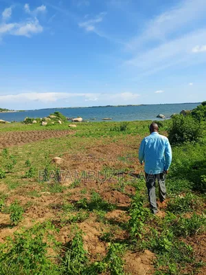 7 Acres of Land on the Lake Shores