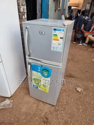 Kind Fridge Repairing Man