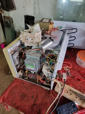 Kind Microwave Repairing Man