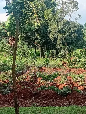 Plots and Land at D Lands and Plots Nakawuka