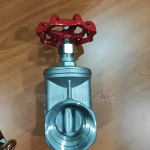 Stainless Steel Gate Valve