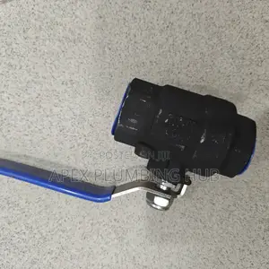 Steam Globe Valves