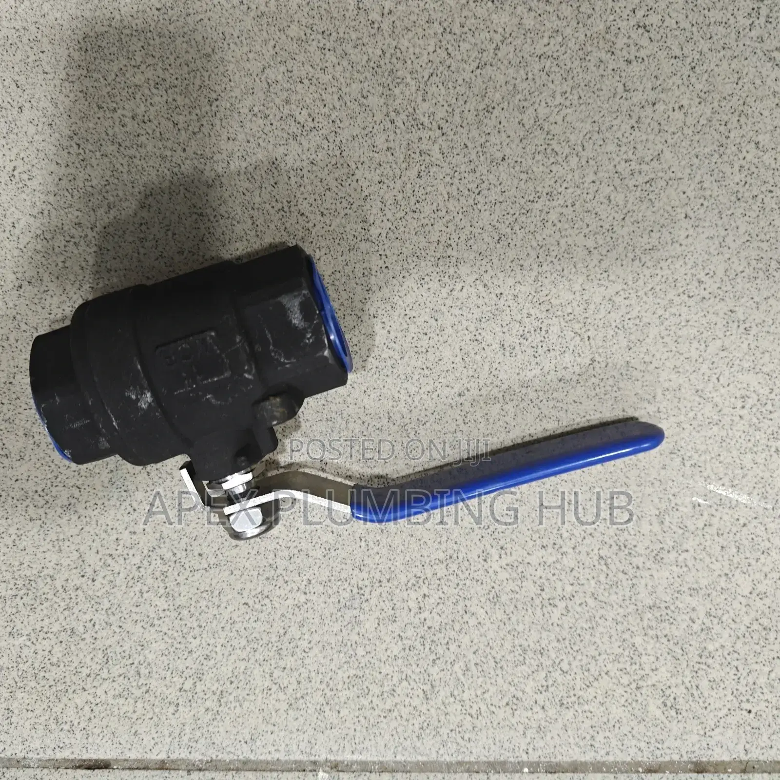 Steam Globe Valves