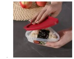 3 Pieces Crisps Boxes Reusable Pizza Storage Container