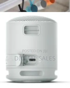 SRS-Xb100 Wireless Bluetooth Portable Lightweight Super