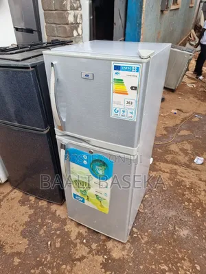 Sizable Fridge/Well Freezing/Used