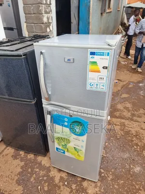 Sizable Fridge/Well Freezing/Used