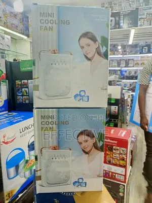 Portable Cooling Fan