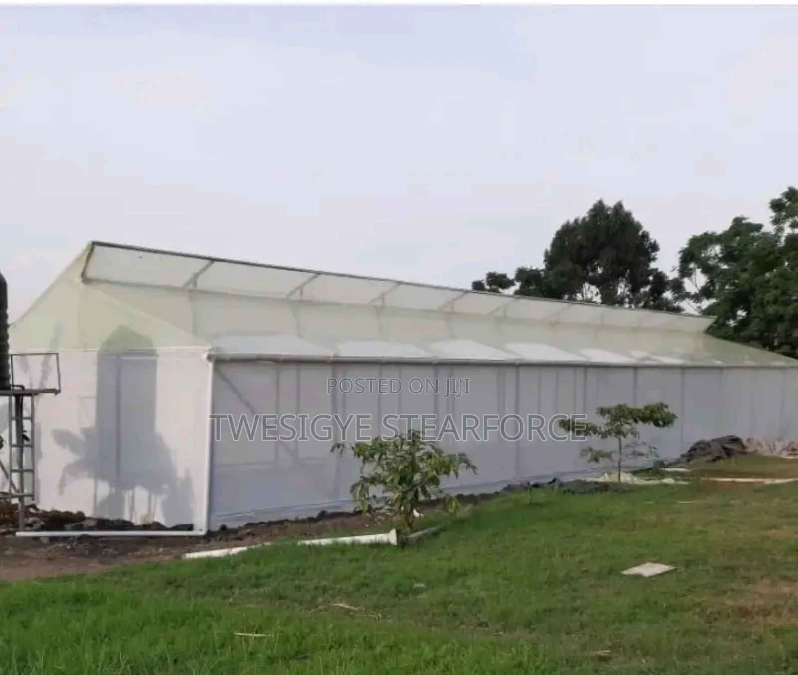 Solar Drier