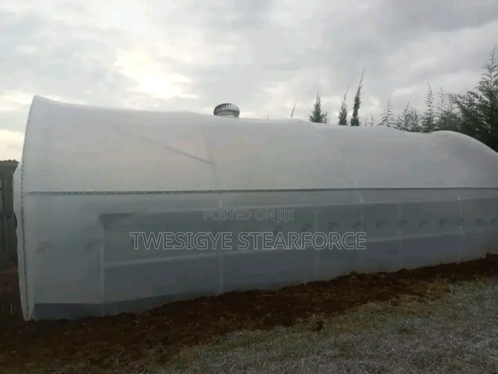 Solar Drier